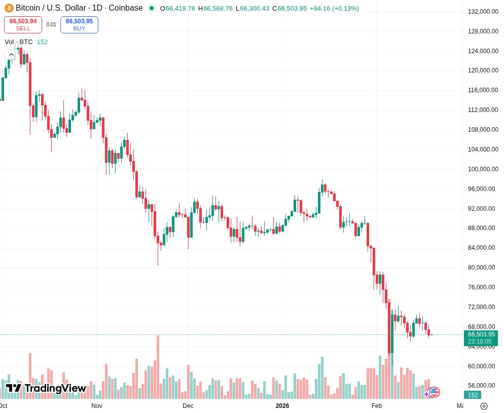 TradingView graf za BTC