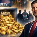 Sin američkog saveznog izvođača uhićen zbog krađe zaplijenjene državne kriptovalute vrijedne 46 milijuna dolara