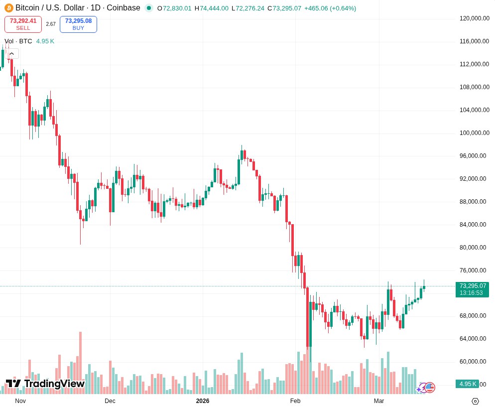 TradingView graf za BTC
