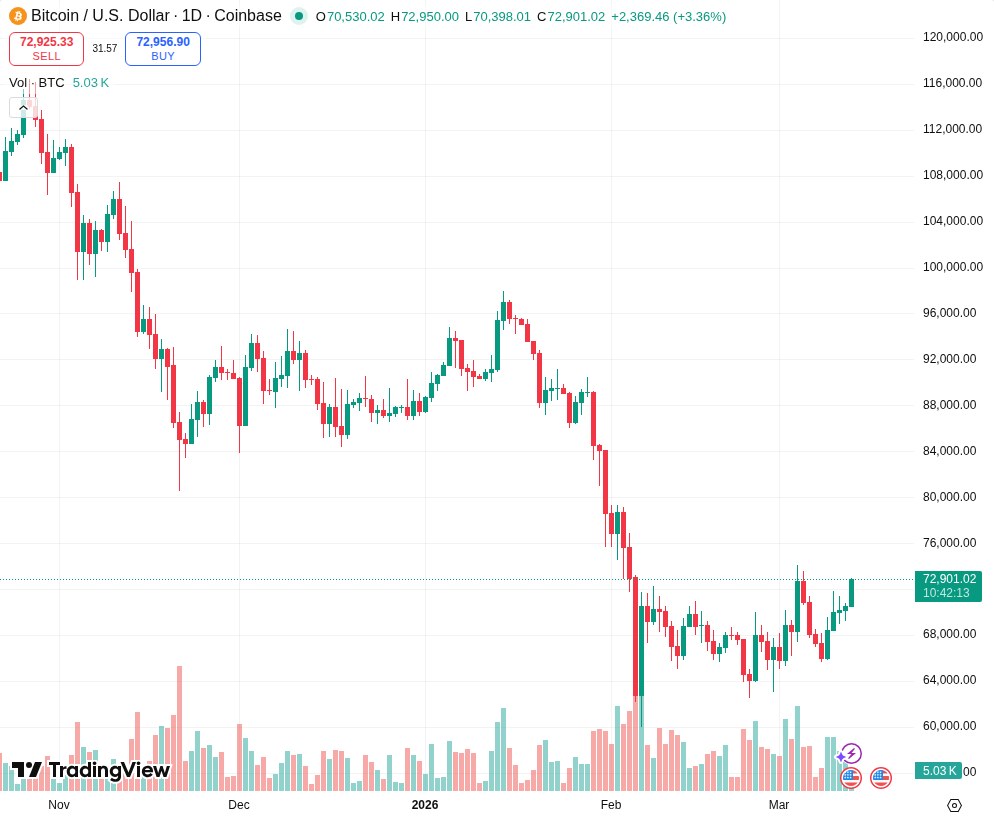 TradingView graf za BTC