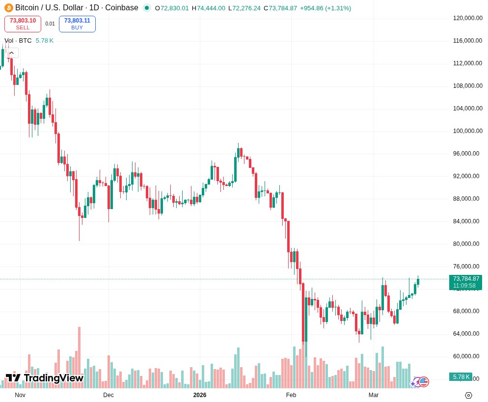 TradingView graf za BTC