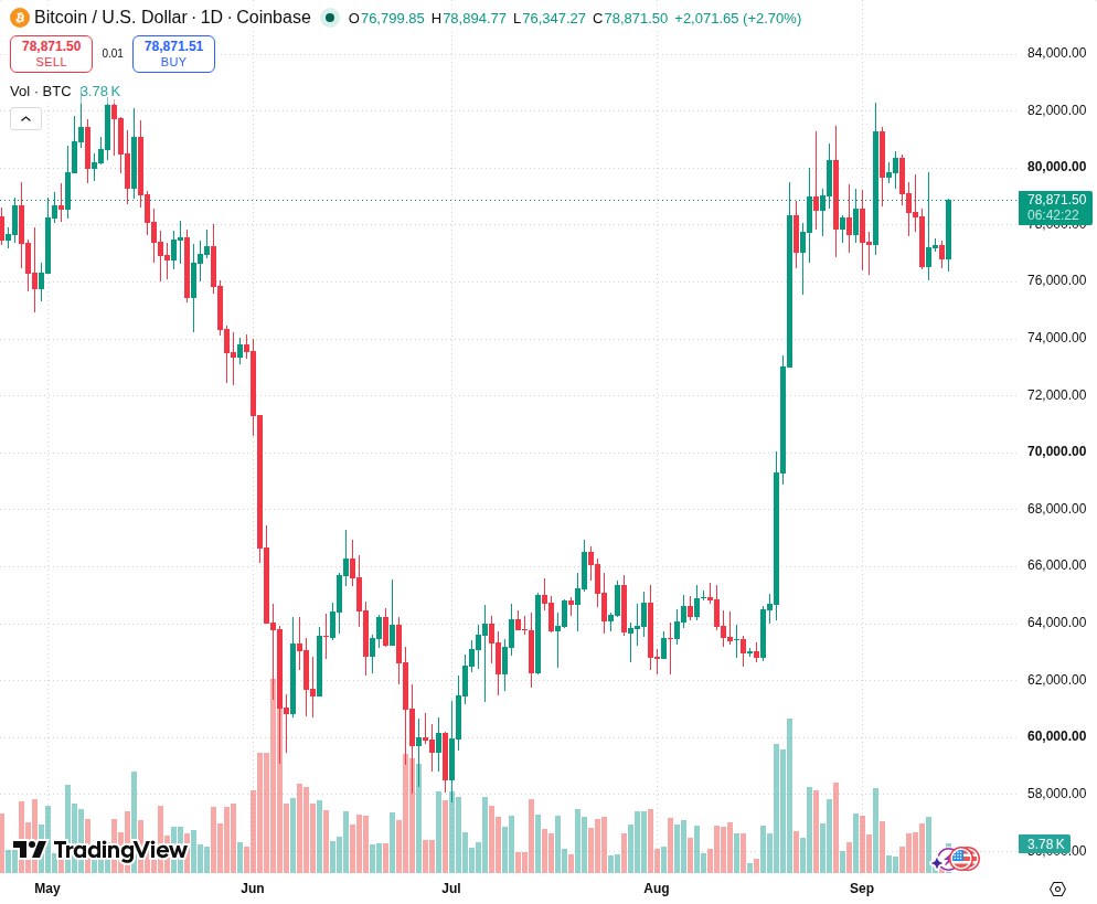 TradingView graf za BTC