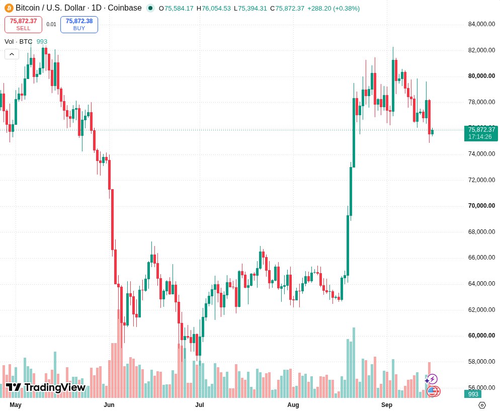 TradingView graf za BTC